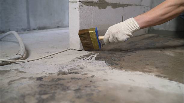 SJ Waterproofing Pros Crawl Space Encapsulation coverage map for Auburndale, WI and surrounding area